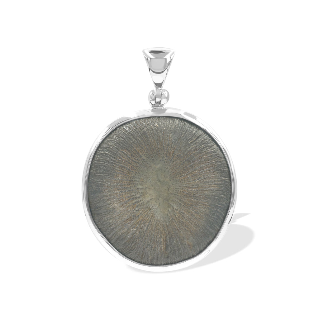 Starborn Cyclolite Fossil Coral Pendant in Sterling Silver