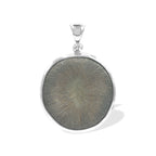 Starborn Cyclolite Fossil Coral Pendant in Sterling Silver