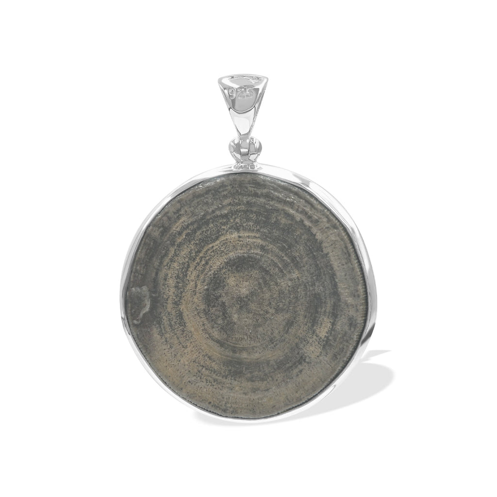 Starborn Cyclolite Fossil Coral Pendant in Sterling Silver