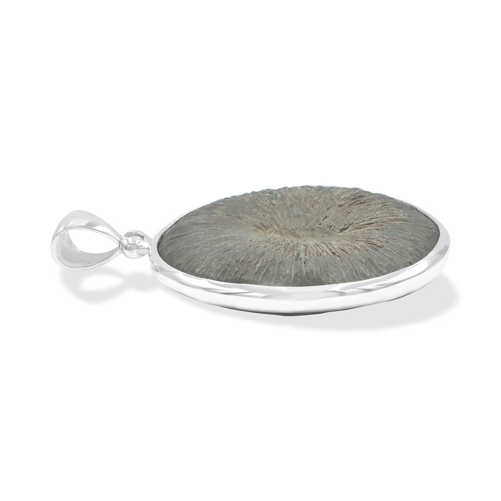 Starborn Cyclolite Fossil Coral Pendant in Sterling Silver