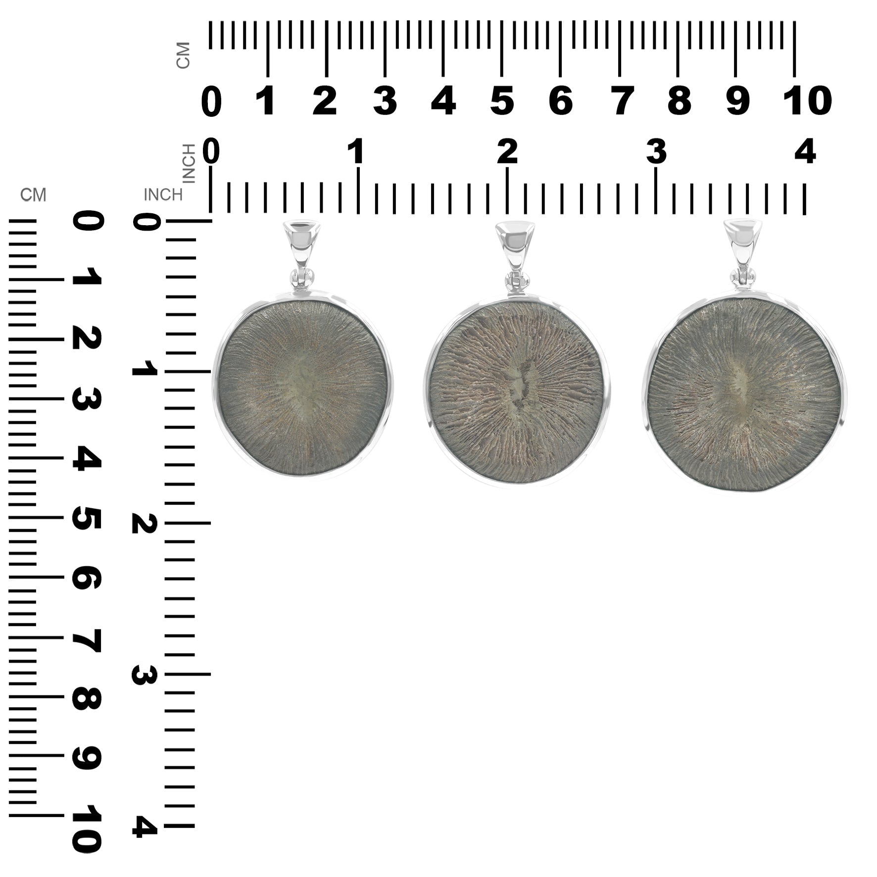 Starborn Cyclolite Fossil Coral Pendant in Sterling Silver