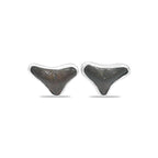 Starborn Brown Fossil Shark Tooth Post Earrings in Sterling Silver
