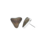 Starborn Brown Fossil Shark Tooth Post Earrings in Sterling Silver