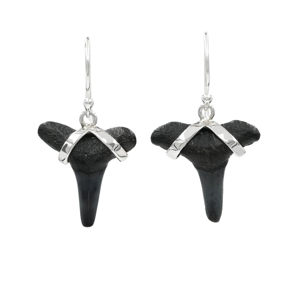 Starborn Dark Fossil Shark Tooth Sterling Silver Earrings