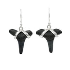 Starborn Dark Fossil Shark Tooth Sterling Silver Earrings