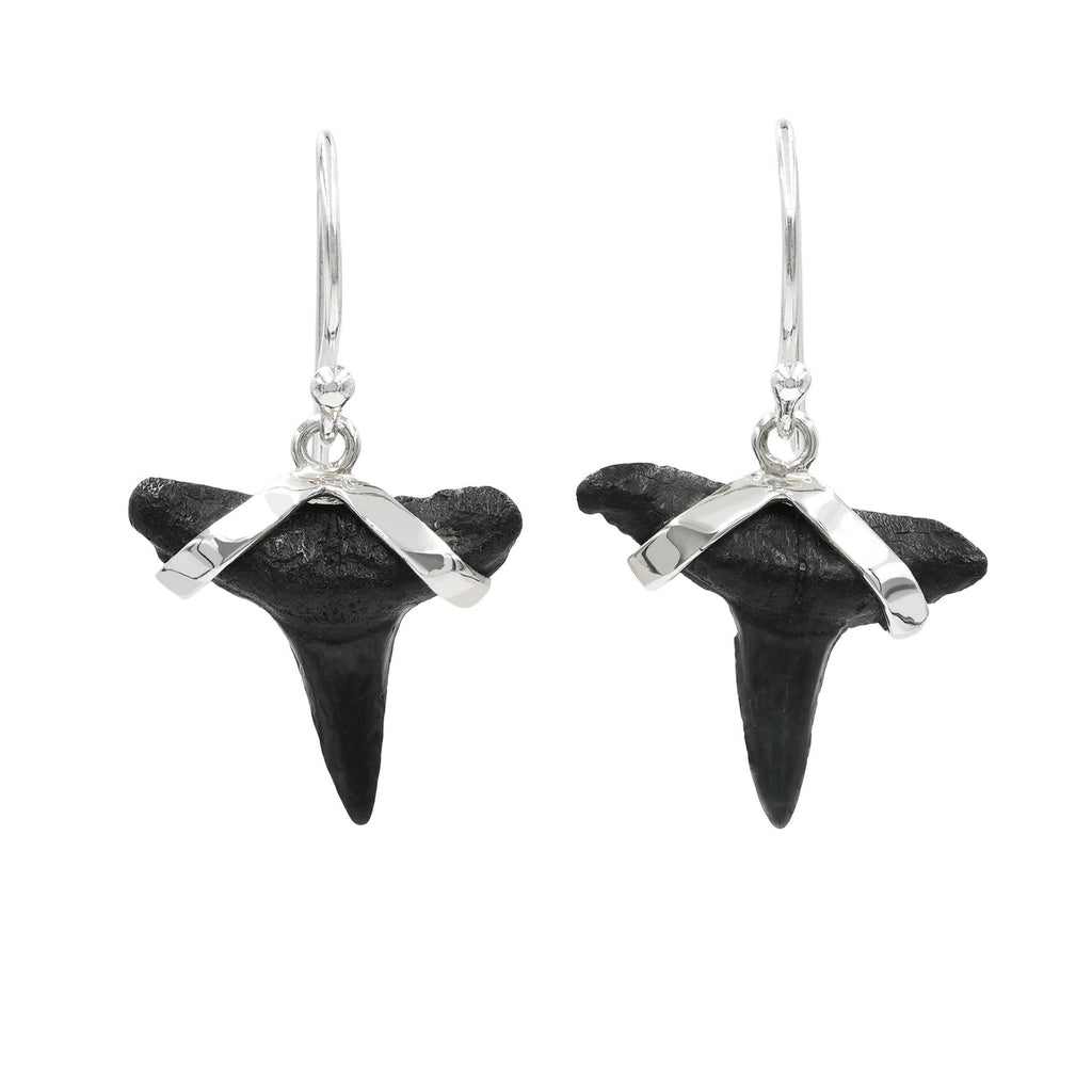 Starborn Dark Fossil Shark Tooth Sterling Silver Earrings
