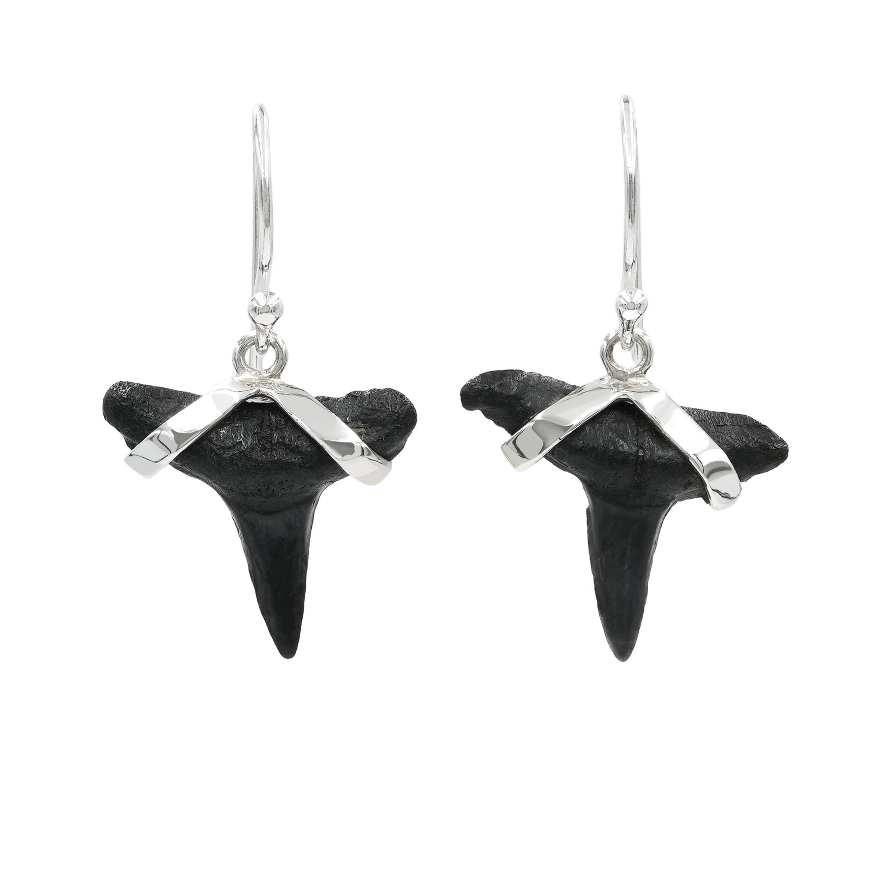 Starborn Dark Fossil Shark Tooth Sterling Silver Earrings