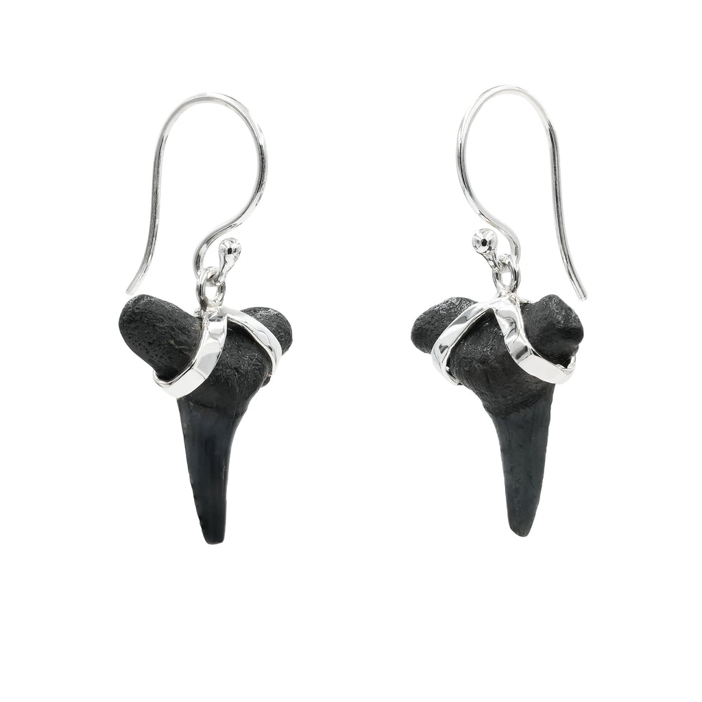 Starborn Dark Fossil Shark Tooth Sterling Silver Earrings