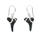 Starborn Dark Fossil Shark Tooth Sterling Silver Earrings