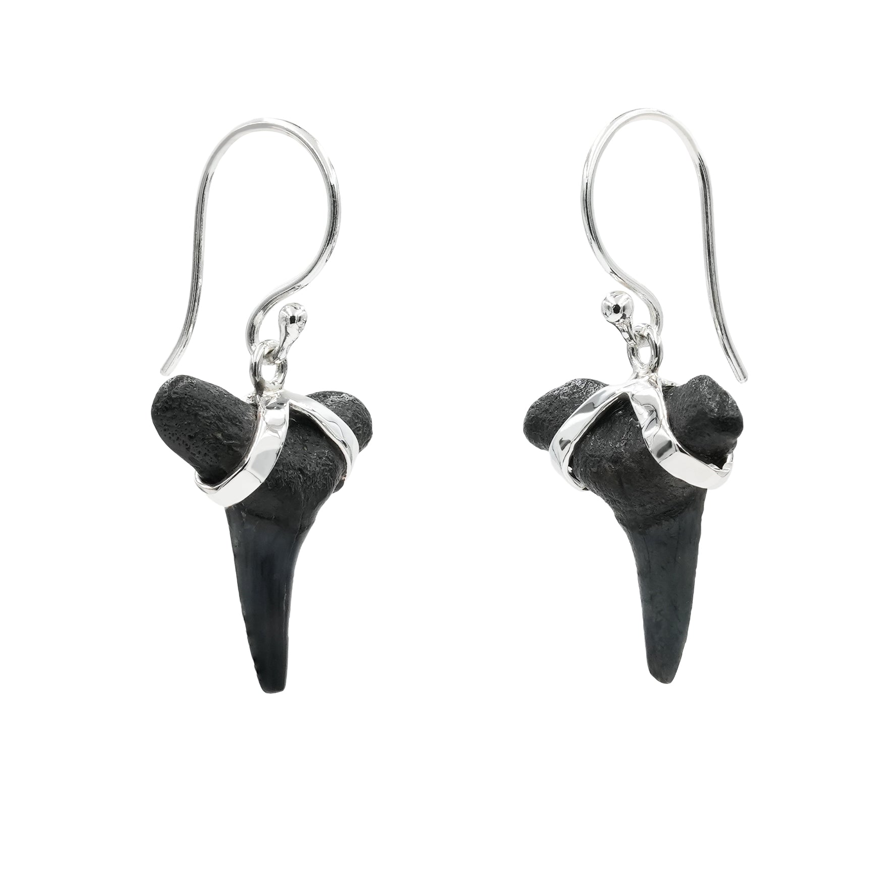 Starborn Dark Fossil Shark Tooth Sterling Silver Earrings