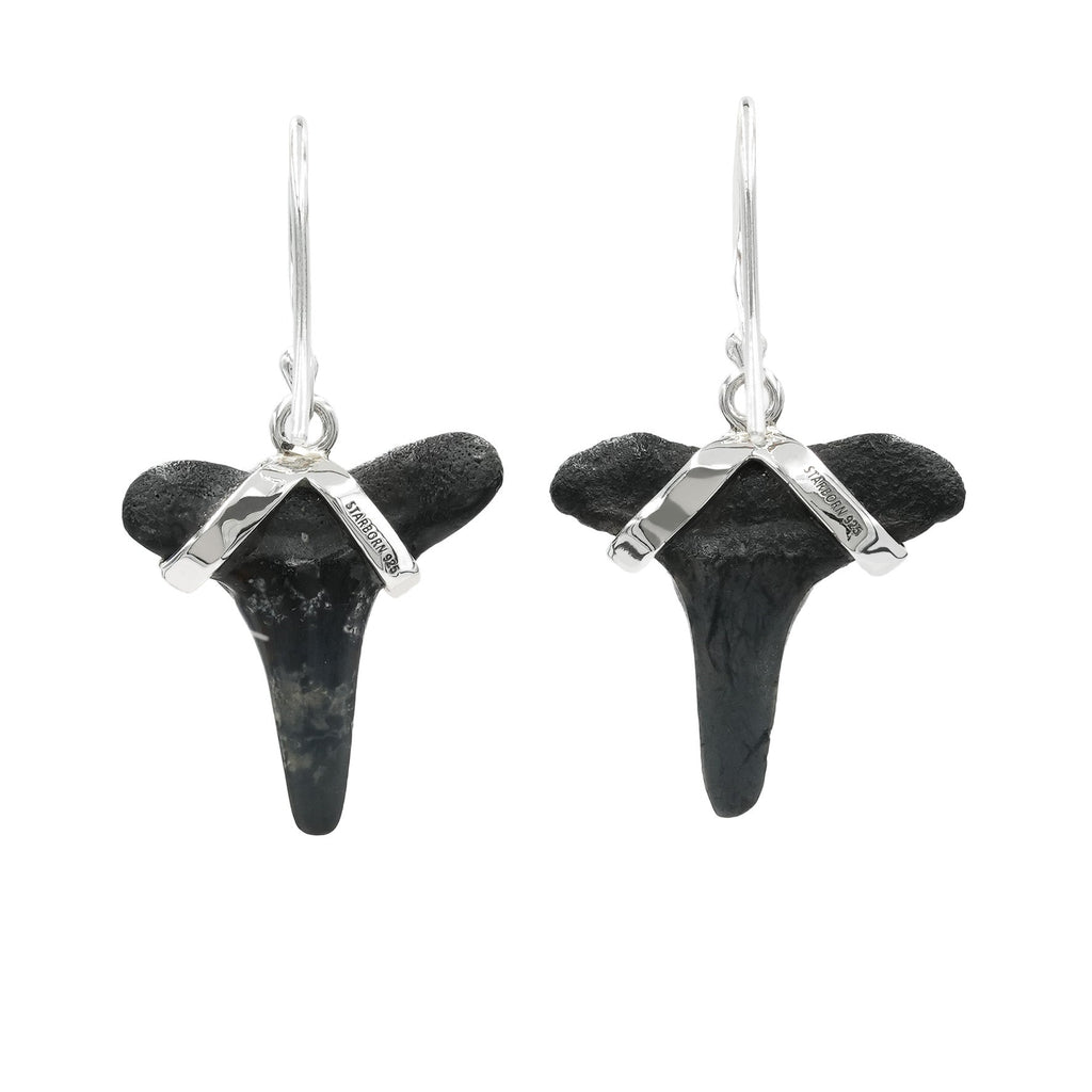 Starborn Dark Fossil Shark Tooth Sterling Silver Earrings