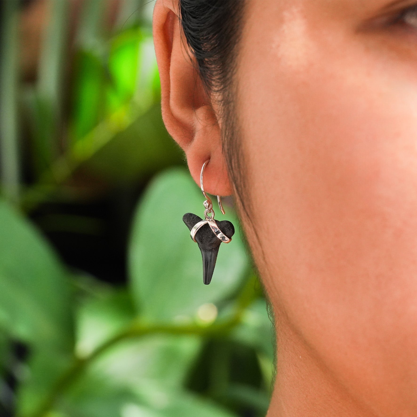 Starborn Dark Fossil Shark Tooth Sterling Silver Earrings