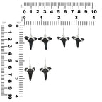 Starborn Dark Fossil Shark Tooth Sterling Silver Earrings