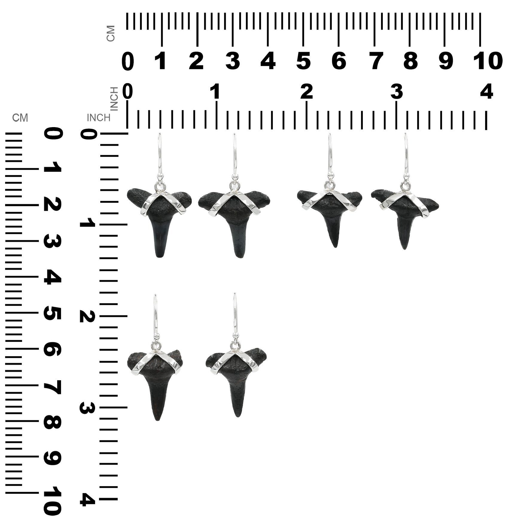 Starborn Dark Fossil Shark Tooth Sterling Silver Earrings