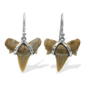 Starborn Light Fossil Shark Tooth Wire Wrap Dangle Earrings in Sterling Silver