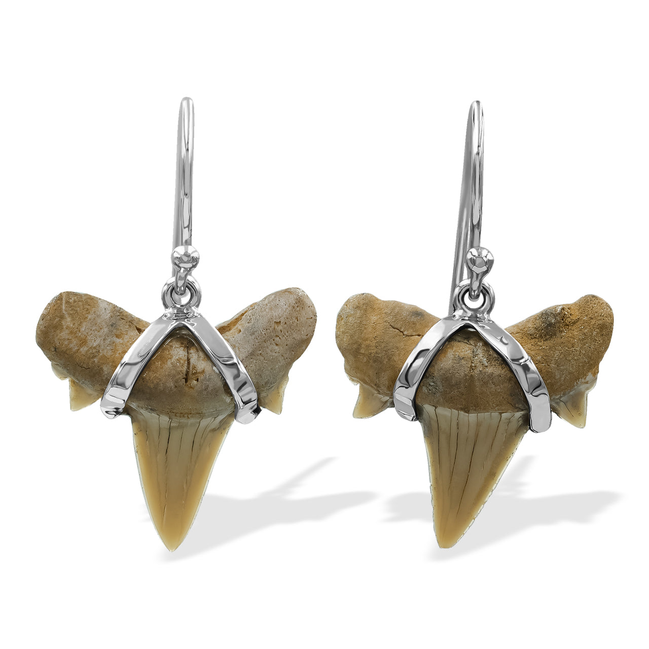 Starborn Light Fossil Shark Tooth Wire Wrap Dangle Earrings in Sterling Silver