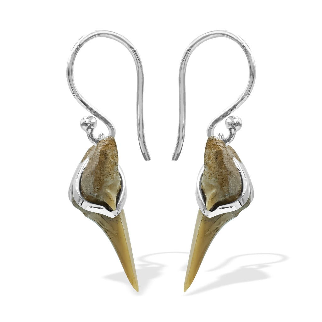Starborn Light Fossil Shark Tooth Wire Wrap Dangle Earrings in Sterling Silver