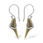 Starborn Light Fossil Shark Tooth Wire Wrap Dangle Earrings in Sterling Silver