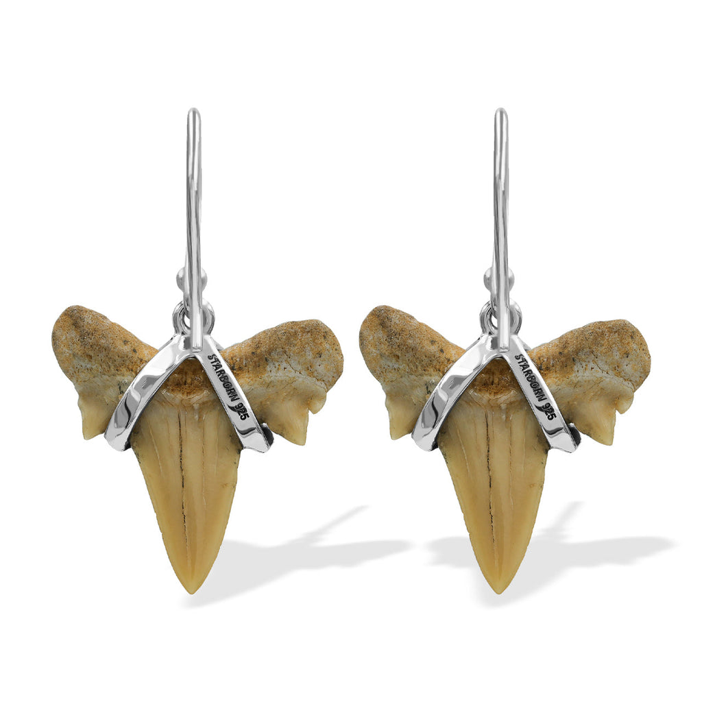 Starborn Light Fossil Shark Tooth Wire Wrap Dangle Earrings in Sterling Silver