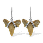 Starborn Light Fossil Shark Tooth Wire Wrap Dangle Earrings in Sterling Silver
