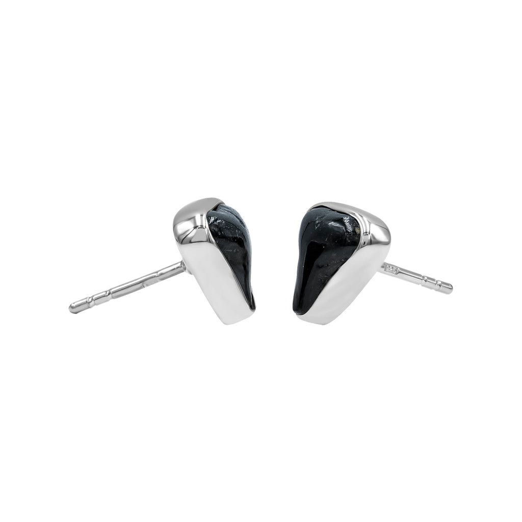 Starborn Black Fossil Shark Tooth Post Style Earrings in Sterling Silver