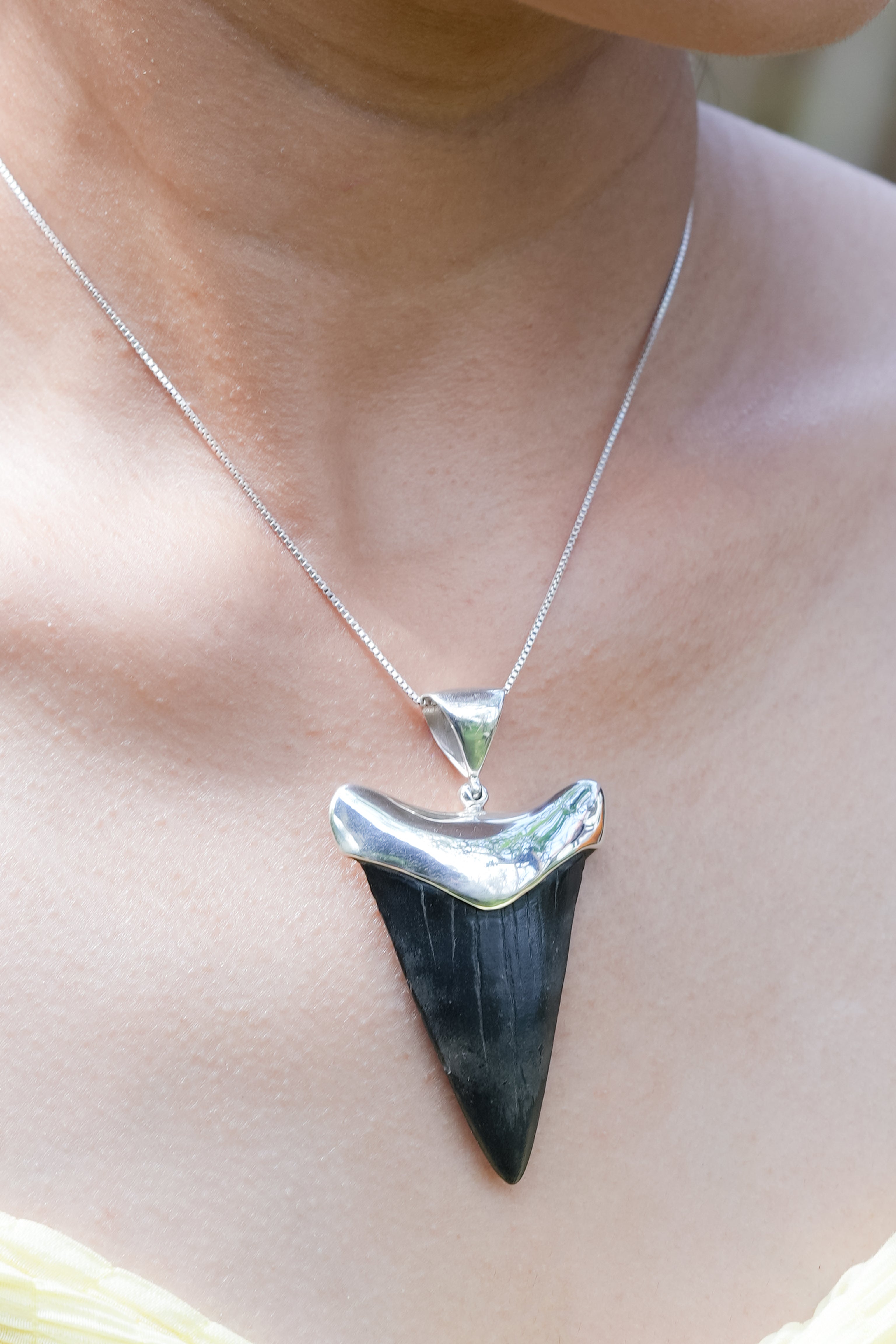 Starborn Dark Fossil Shark Tooth Cap Set Pendant in Fine Sterling Silver