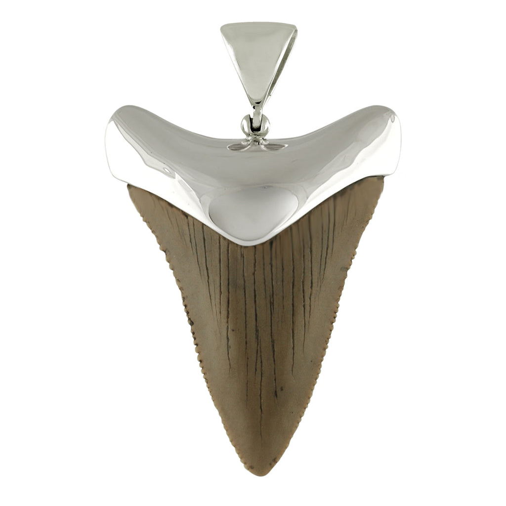 Starborn Dark Fossil Shark Tooth Cap Set Pendant in Fine Sterling Silver