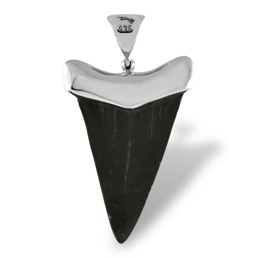 Starborn Dark Fossil Shark Tooth Cap Set Pendant in Fine Sterling Silver