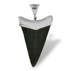 Starborn Dark Fossil Shark Tooth Cap Set Pendant in Fine Sterling Silver