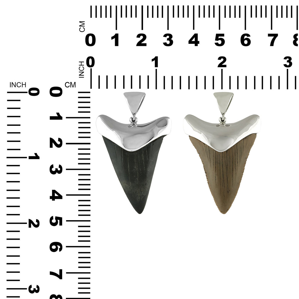 Starborn Dark Fossil Shark Tooth Cap Set Pendant in Fine Sterling Silver
