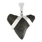 Starborn Dark Fossil Shark Tooth Pendant in Sterling Silver