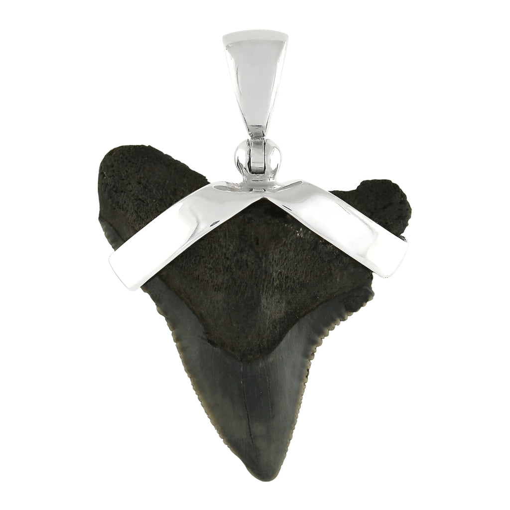 Starborn Dark Fossil Shark Tooth Pendant in Sterling Silver