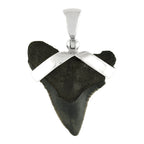 Starborn Dark Fossil Shark Tooth Pendant in Sterling Silver