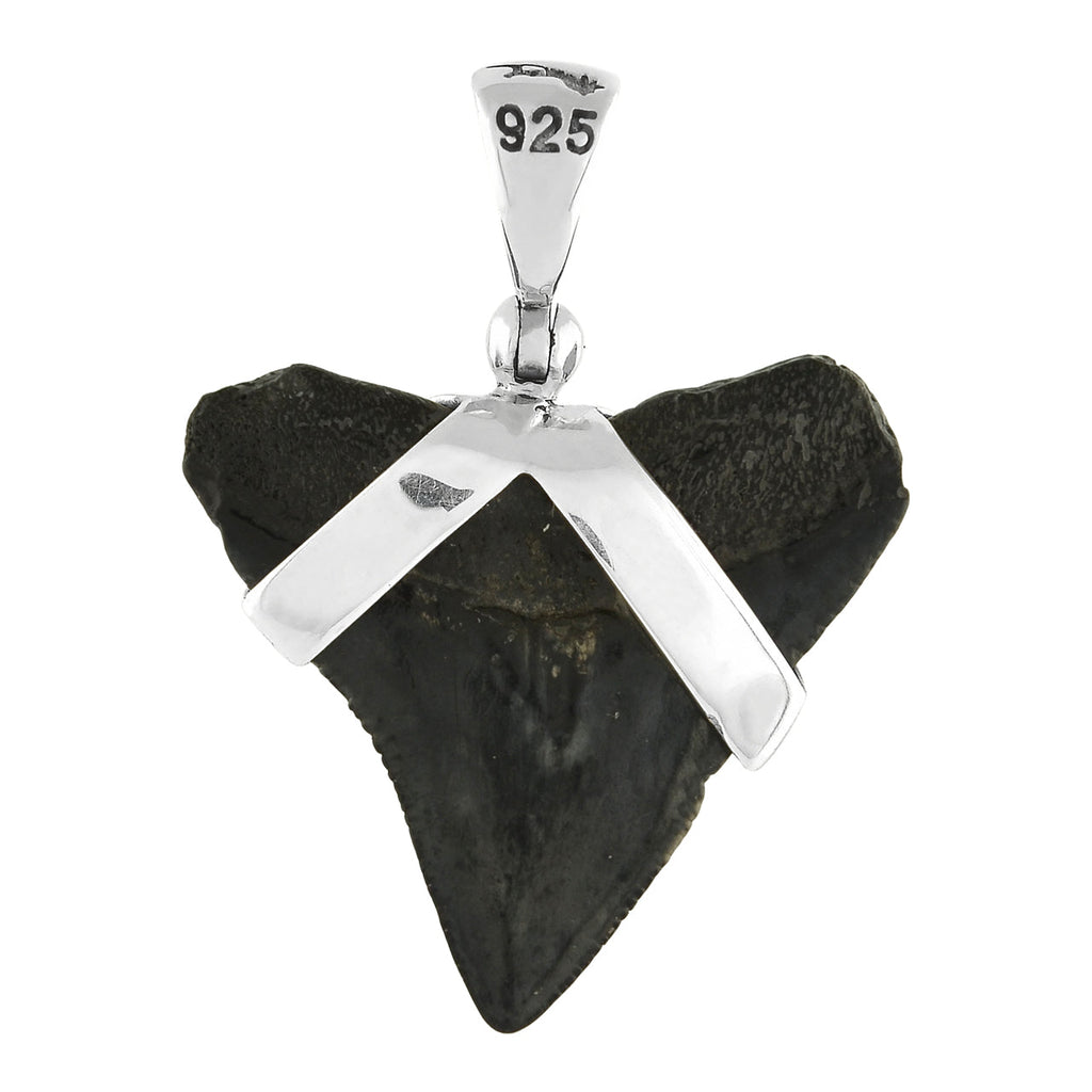 Starborn Dark Fossil Shark Tooth Pendant in Sterling Silver
