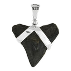 Starborn Dark Fossil Shark Tooth Pendant in Sterling Silver