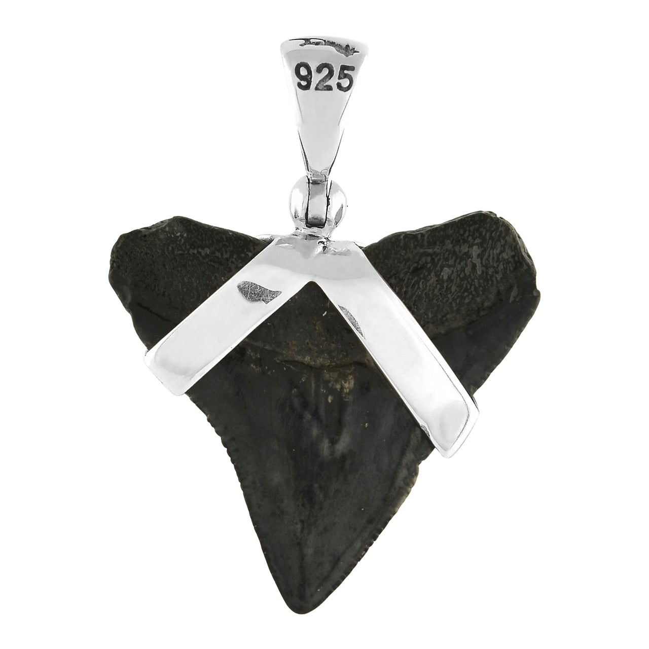 Starborn Dark Fossil Shark Tooth Pendant in Sterling Silver