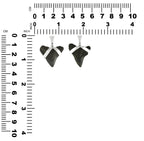 Starborn Dark Fossil Shark Tooth Pendant in Sterling Silver