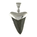 Starborn Dark Fossil Shark Tooth Cap Set Pendant in Fine Sterling Silver