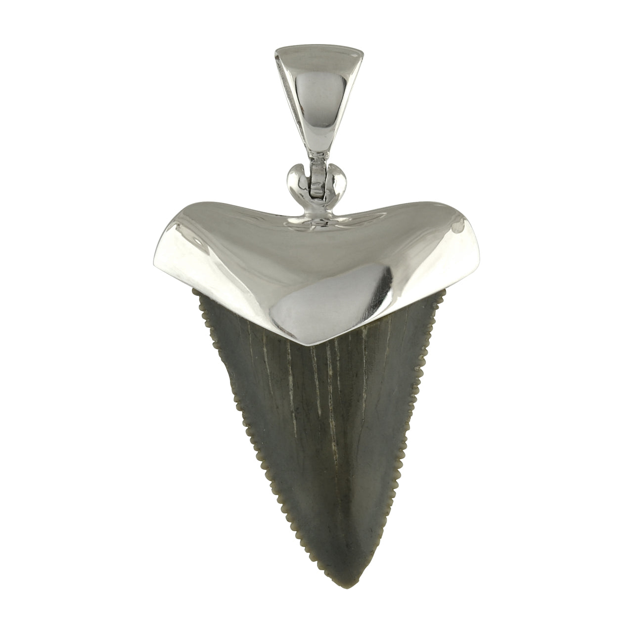 Starborn Dark Fossil Shark Tooth Cap Set Pendant in Fine Sterling Silver