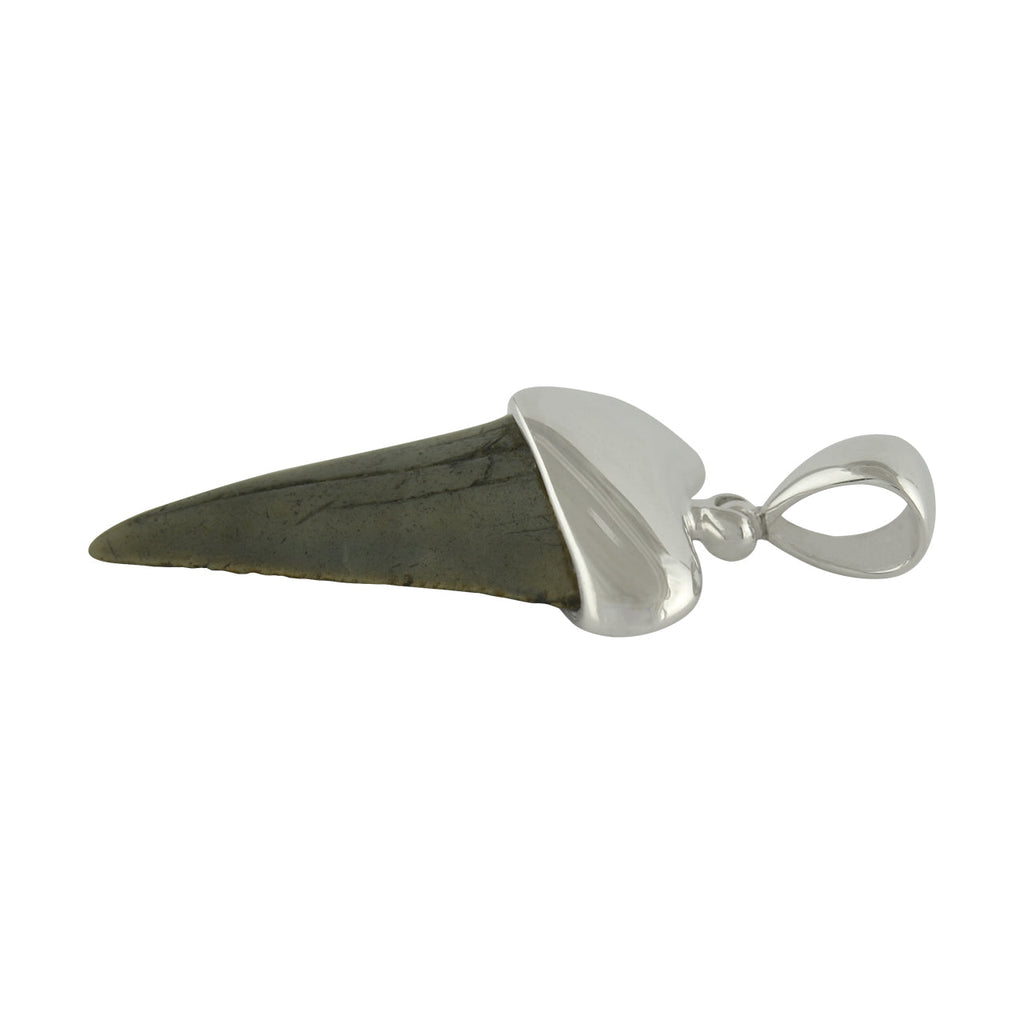 Starborn Dark Fossil Shark Tooth Cap Set Pendant in Fine Sterling Silver