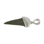Starborn Dark Fossil Shark Tooth Cap Set Pendant in Fine Sterling Silver