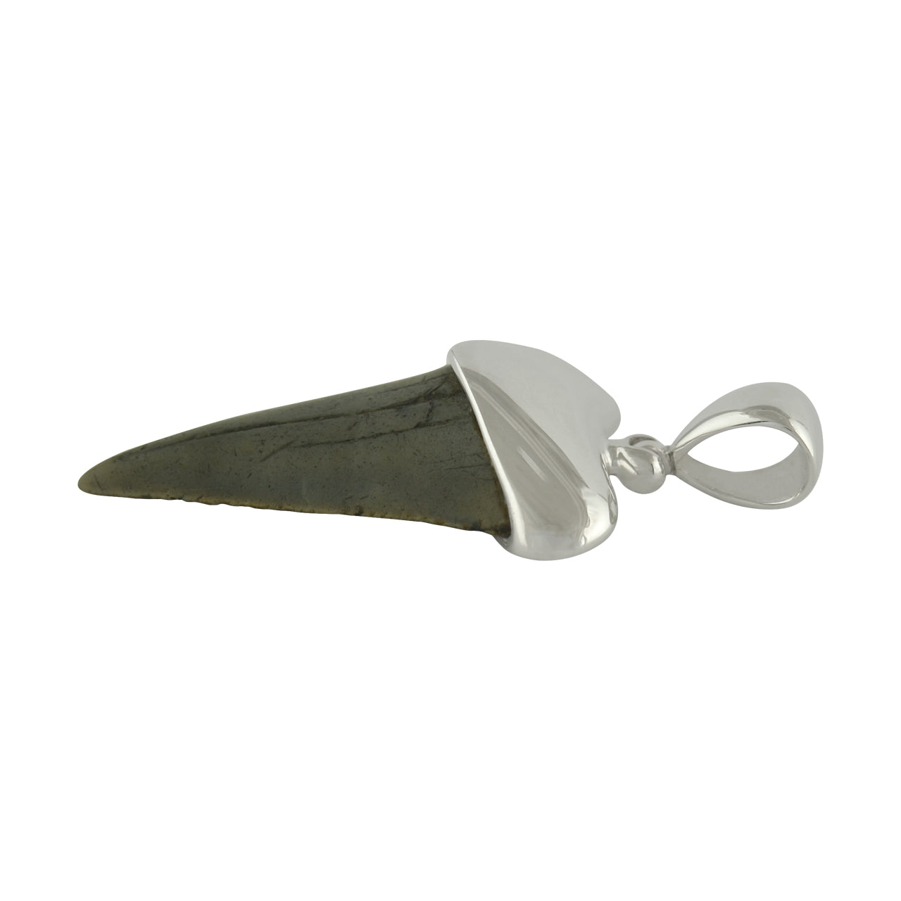 Starborn Dark Fossil Shark Tooth Cap Set Pendant in Fine Sterling Silver