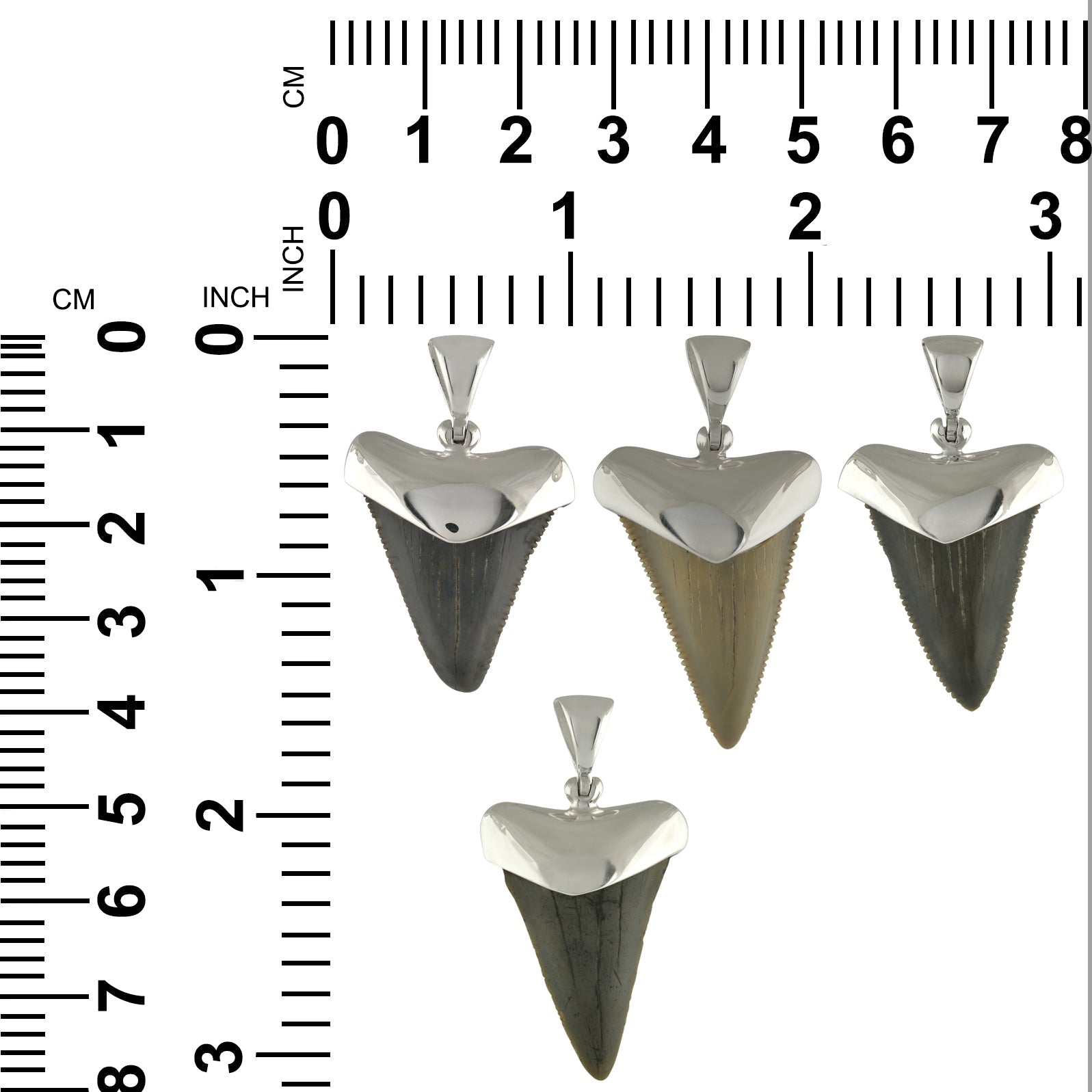 Starborn Dark Fossil Shark Tooth Cap Set Pendant in Fine Sterling Silver