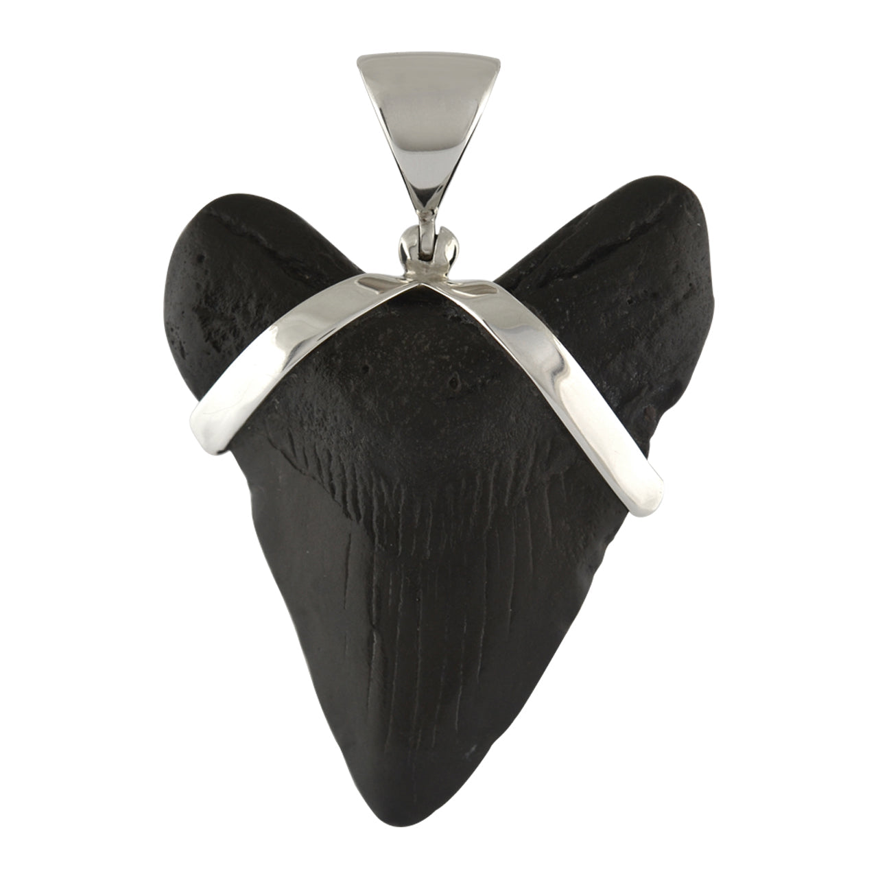 Starborn Dark Fossil Shark Tooth Pendant in Sterling Silver