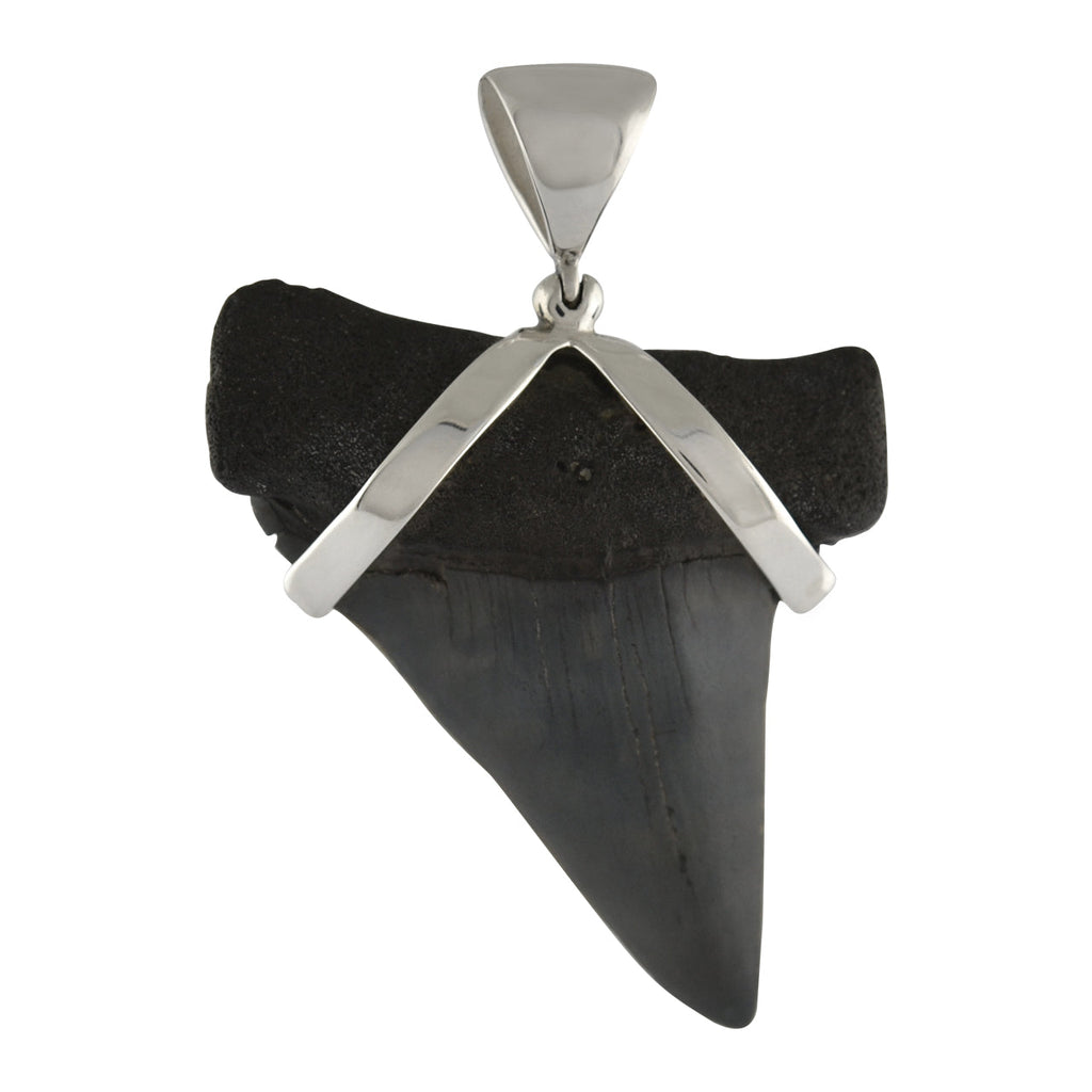 Starborn Dark Fossil Shark Tooth Pendant in Sterling Silver