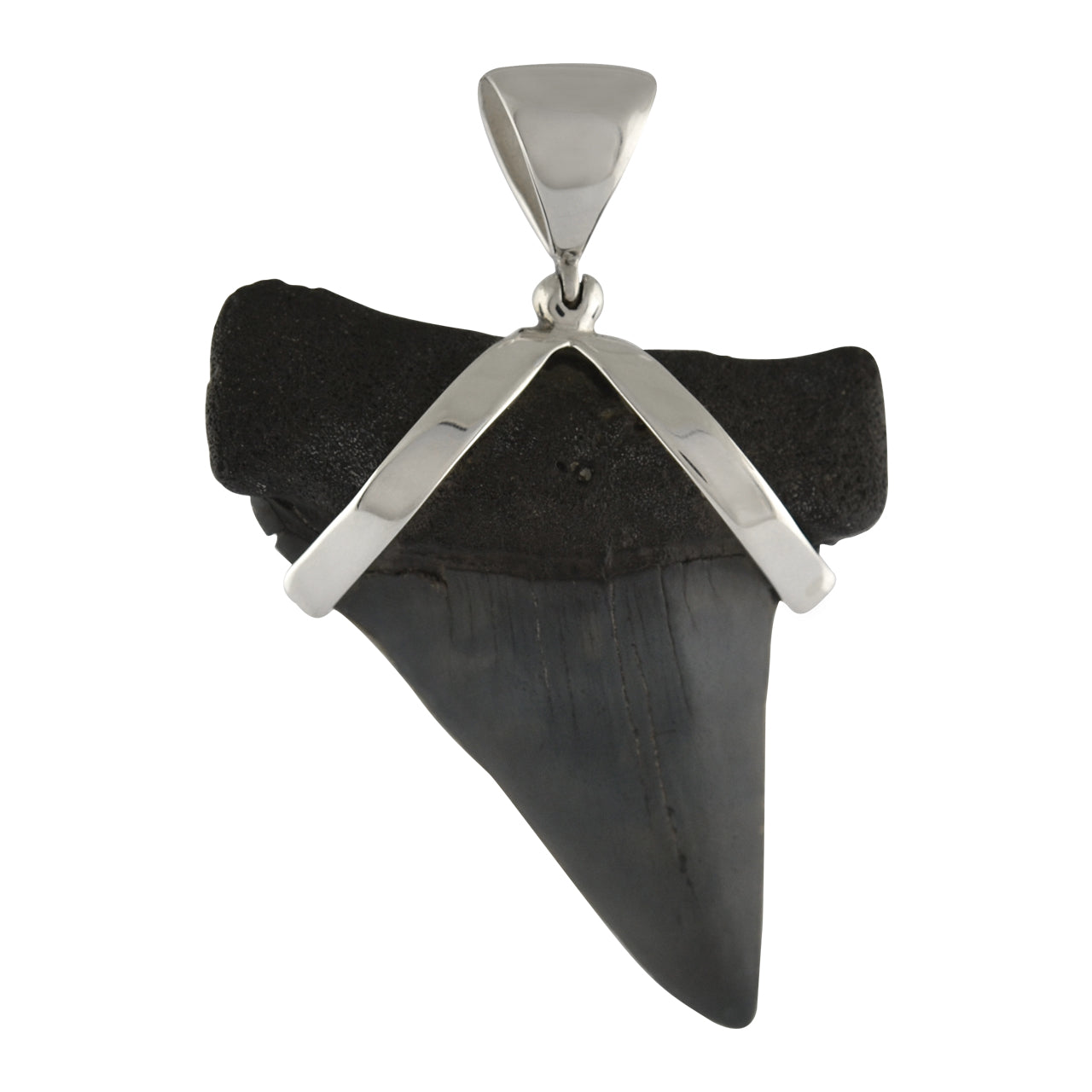 Starborn Dark Fossil Shark Tooth Pendant in Sterling Silver