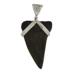 Starborn Dark Fossil Shark Tooth Pendant in Sterling Silver