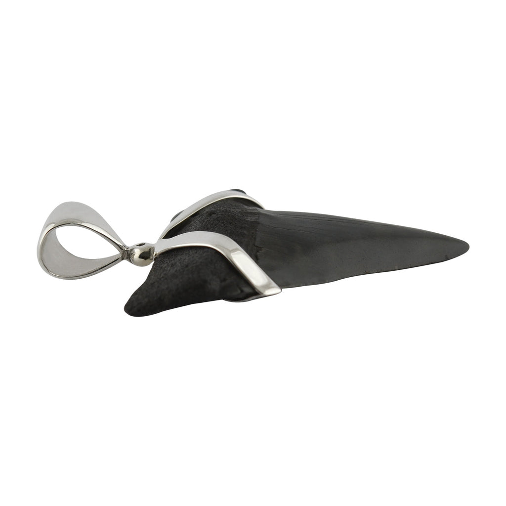 Starborn Dark Fossil Shark Tooth Pendant in Sterling Silver