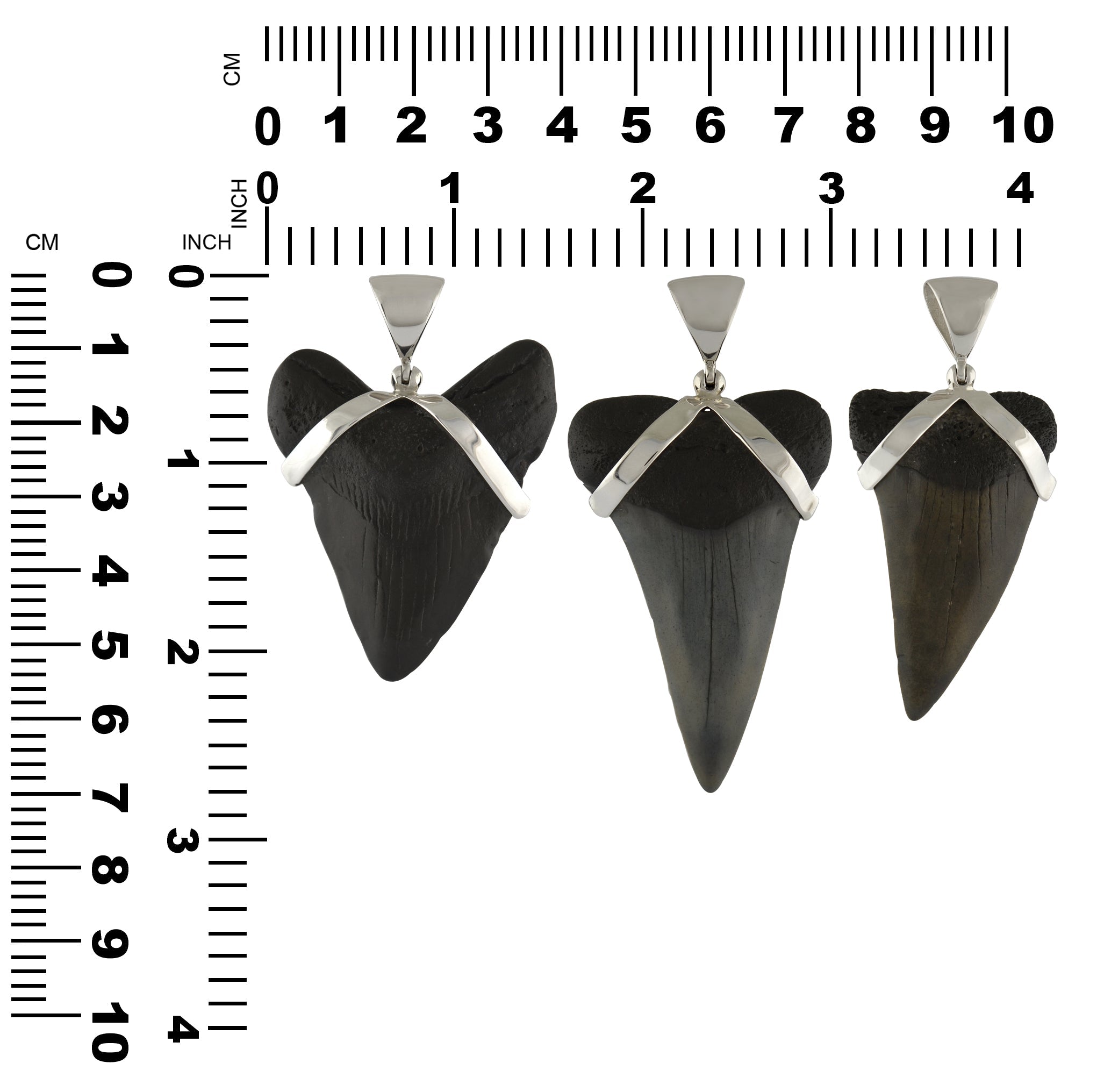 Starborn Dark Fossil Shark Tooth Pendant in Sterling Silver