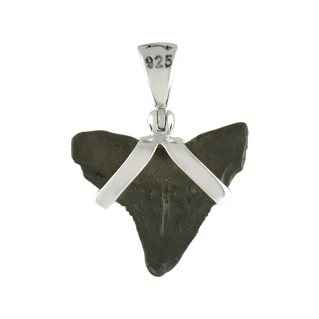 Starborn Dark Fossil Shark Tooth Pendant in Sterling Silver